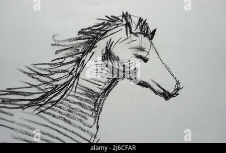 Art dessin Beaux art esquisse mignon cheval de course Thaïlande Banque D'Images