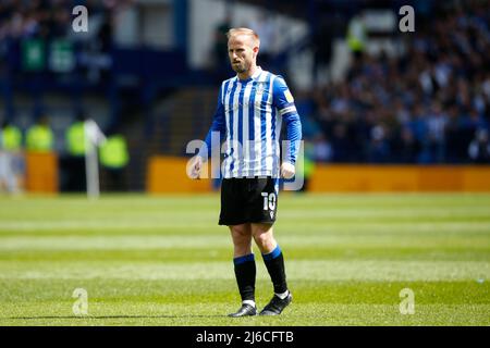 Barry Bannan #10 de Sheffield mercredi Banque D'Images