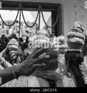 Les femmes avec Kalash sur la tête pendant le Temple Jagannath Mangal Kalash Yatra, les dévotés hindous indiens portent des pots de terre contenant de l'eau sacrée avec de la noix de coco Banque D'Images