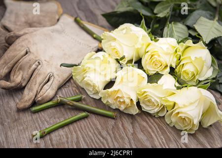 Une photo de roses fraîchement coupées sur une table en bois à côté des gants et des tiges coupées. Banque D'Images