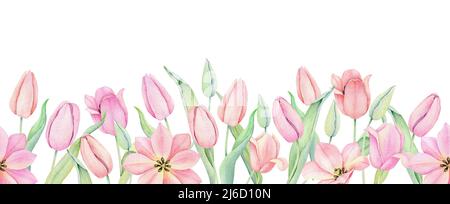 Bordure fleurie sans couture. Décoration tulipe rose aquarelle. Illustration aquarelle dessinée à la main. Éléments décoratifs. Banque D'Images