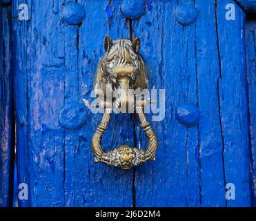 Tête de cheval sur porte en bois bleue Banque D'Images