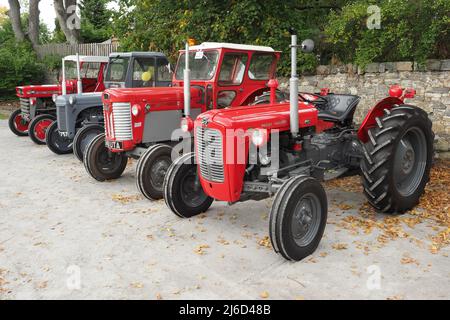 Anciens tracteurs Massey Ferguson, types 130, TET-20, 35, 65MK1, de 1953 à 1965, en rouge et gris. Banque D'Images