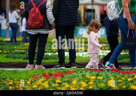 (220430) -- LA VALETTE, 30 avril 2022 (Xinhua) -- les gens visitent la place Saint-Georges avec une exposition florale à la Valette, capitale de Malte, le 30 avril 2022. La neuvième édition du Festival vert de la Valette a lieu du 28 avril au 1 mai avec le thème "habitats naturels" de cette année. (Photo de Jonathan Borg/Xinhua) Banque D'Images