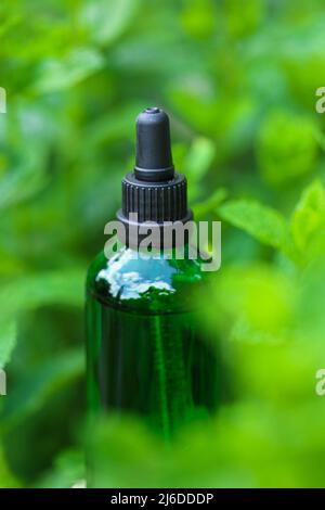 Huile de menthe poivrée.bouteille en verre vert menthe fraîche.Aromatherapy et homéopathie. Huile de menthe biologique Banque D'Images