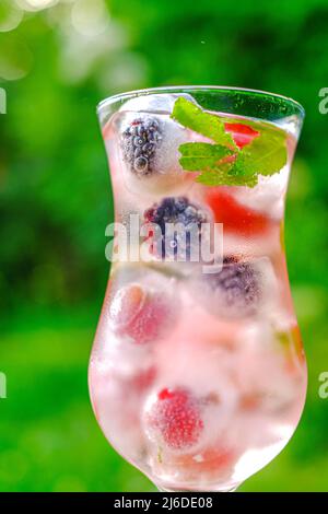 Boisson d'été. Cocktail de baies. Cocktail de baies de gooséres et de mûres, menthe et glace dans un verre transparent dans un jardin d'été. Boisson de baies avec glace Banque D'Images