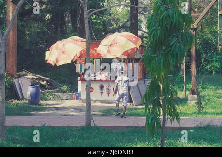 Un kiosque à boissons dans la jungle par une chaude journée ensoleillée. Alipur Zoological Garden, Kolkata, Bengale occidental, Inde Asie du Sud 22 avril 2022 Banque D'Images