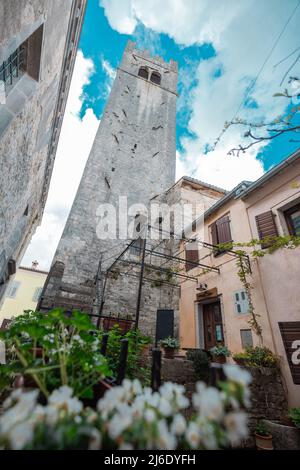 Vue sur une église et un clocher dans le village médiéval de Motovun en Istrie croate. Vue sur la grenouille, vue à travers les fleurs. Banque D'Images