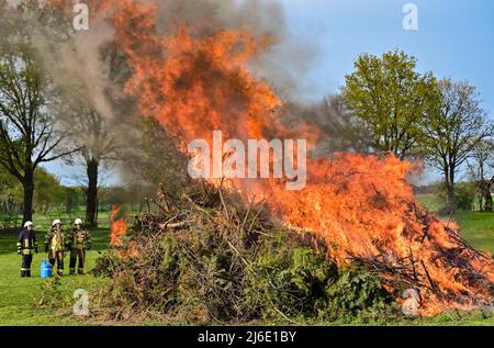 30 avril 2022, Brandebourg, Sieversdorf: Les pompiers du Service des pompiers volontaires de Sieversdorf ont allumé un feu de joie le jour de mai. Le feu de mai, est également appelé nuit Walpurgis, nuit Saint Walpurgis ou feu de sorcière. Le festival est célébré dans de nombreuses parties de l'Allemagne. À cette fin, un feu est allumé le 30 avril, avec lequel on veut chasser les mauvais esprits. Photo: Patrick Pleul/dpa/ZB Banque D'Images