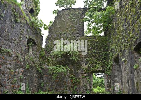 ruines du fort de vasai, maharashtra, inde Banque D'Images