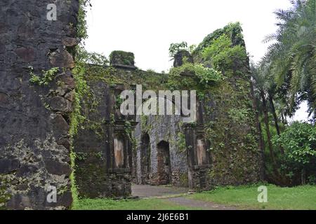 ruines du fort de vasai, maharashtra, inde Banque D'Images