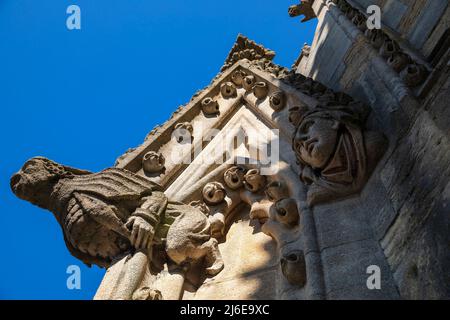 Les gargouilles sur l'église de l'Université St Mary the Virgin, Oxford, Angleterre. Banque D'Images