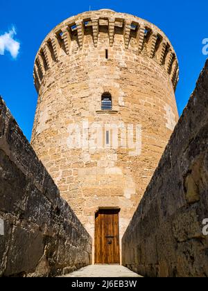 Photographie portrait d’une vieille tour de Palma de Majorque appelée Torre de l’homenatg avec porte fermée et fenêtre barrée sur le dessus de Castell de Bellver. Banque D'Images