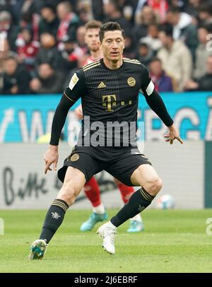 30 avril 2022, Mewa Arena, Mayence, GER, 1.FBL, 1.FSV FSV Mayence 05 contre FC Bayern Munich , la réglementation DFL interdit toute utilisation de photographies comme séquences d'images et/ou quasi-vidéo. Dans la photo Robert Lewandowski (Munich) Banque D'Images