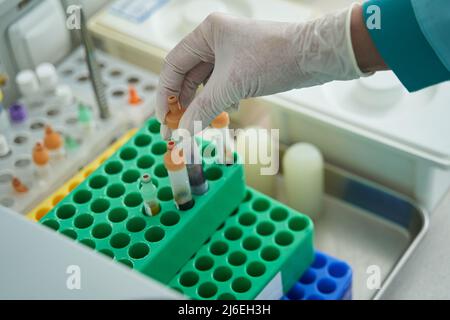 Femme organisant des tubes avec du sang en laboratoire Banque D'Images
