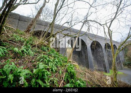 Le viaduc de Tucking Mill de l'ancien chemin de fer mixte Somerset & Dorset, près de South Stoke, Somerset, Royaume-Uni. Banque D'Images