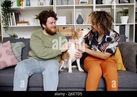 Jeune couple heureux assis sur un canapé dans la salle de séjour et jouant avec leur animal de compagnie charmant ensemble Banque D'Images