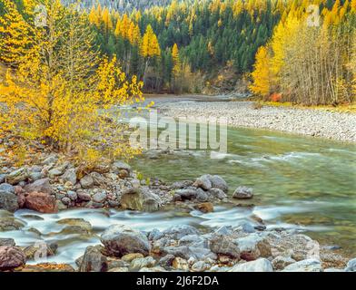 couleurs d'automne le long de la rivière à tête plate de la fourche centrale à l'embouchure de bear creek près d'essex, montana Banque D'Images