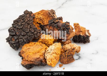 Gros plan de morceaux de champignons chaga, poudre et infusion dans une tasse Banque D'Images