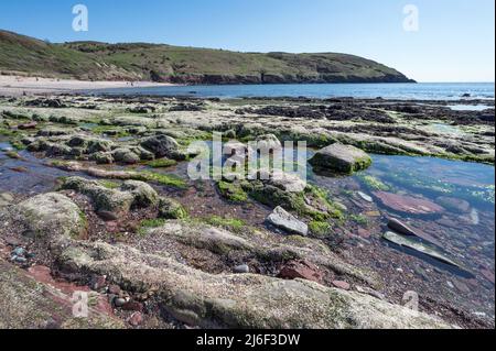 Littoral de Pembrokeshire avec piscines rocheuses à Manorbier Beach Sud du pays de Galles Banque D'Images