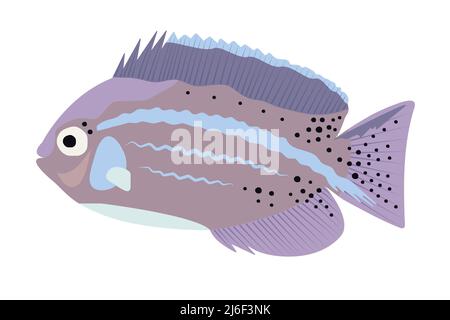 Un angelfish coloré, une jolie illustration vectorielle Illustration de Vecteur