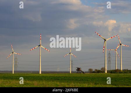 Paysage avec Wind Mills en Autriche Banque D'Images