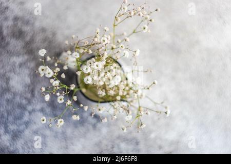 Fleurs de gitsophila blanches dans le vase en céramique sur une table en béton Banque D'Images