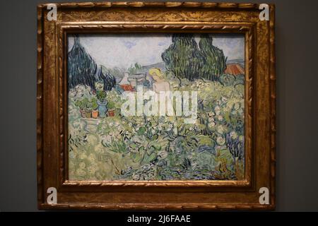 Vincent van Gogh. Mademoiselle Gachet dans son jardin a Auvers-sur-Oise. 1890. Musée d’Orsay. Banque D'Images