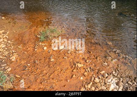 Algues colorées en rouge avec un précipité d'oxyde de fer. Gwendraeth Fawr, Pontyates, Carmarthenshire, pays de Galles, Royaume-Uni Banque D'Images