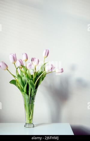 Fête des mères, mockup fleurs de tulipe. Maquette de bannière minimale avec fleurs de tulipe lilas sur table blanche et fond de mur clair. Bouquet de printemps délicat t Banque D'Images