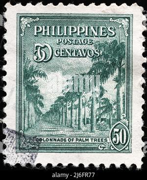 Palmiers tropicaux sur timbre d'époque des Philippines Banque D'Images