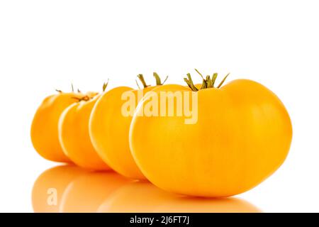 Quatre tomates jaunes mûres, en gros plan, isolées sur fond blanc. Banque D'Images