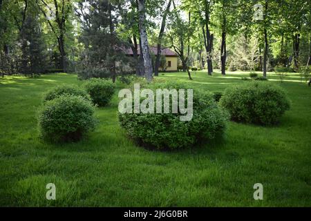 Jardin paisible. Magnifique jardin avec une pelouse fraîchement moudue. Paysage panoramique de beau jardin et pelouse, vue panoramique sur cour paysagée. VI Banque D'Images