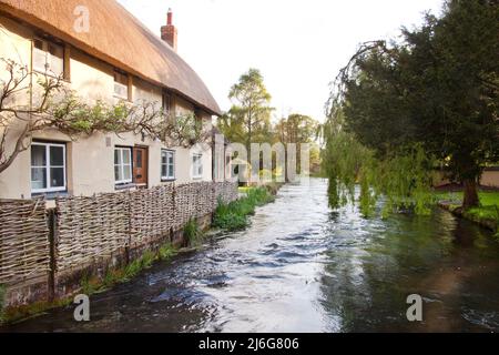 Village historique de Wherwell, chaumière avec clôture de haies sur River Test, Test Valley, nr Stockbridge, Hampshire, Angleterre Banque D'Images