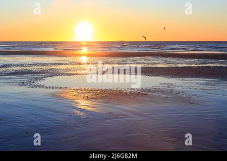 Coucher de soleil sur la plage au Cap blanc-nez (Côte d'Opale) dans le pas-de-Calais, France Banque D'Images