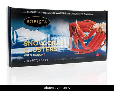 Winneconne, WI -23 avril 2022 : un paquet de crabe des neiges de Robisea s'emparée de pattes sur un fond isolé Banque D'Images