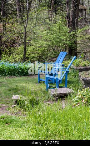 Paire de chaises adirondack bleues sont placées dans un beau jardin dans un bois de printemps Banque D'Images