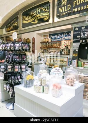 Magasin spécialisé de champignons Banque D'Images