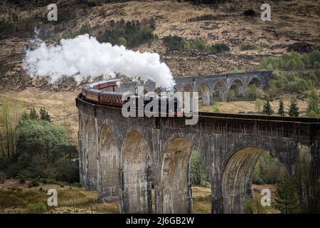 Le train à vapeur Jacobite sur le viaduc de Glenfinnan, Glenfinnan, en Écosse, au Royaume-Uni, comme on l'a vu dans Harry Potter Banque D'Images