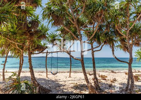 Plage de Loedi de sable blanc avec des arbres de pandan et une balançoire à l'île de Rote, province orientale de Nusa Tenggara, Indonésie Banque D'Images