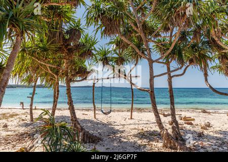 Plage de Loedi de sable blanc avec des arbres de pandan et une balançoire à l'île de Rote, province orientale de Nusa Tenggara, Indonésie Banque D'Images