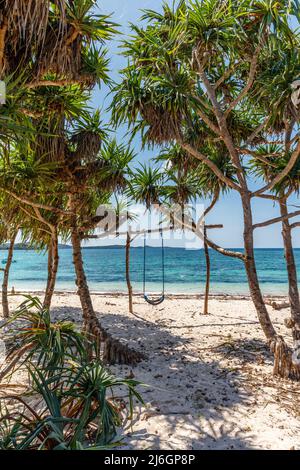 Plage de Loedi de sable blanc avec des arbres de pandan et une balançoire à l'île de Rote, province orientale de Nusa Tenggara, Indonésie Banque D'Images