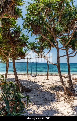 Plage de Loedi de sable blanc avec des arbres de pandan et une balançoire à l'île de Rote, province orientale de Nusa Tenggara, Indonésie Banque D'Images