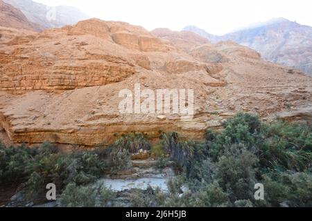 Wadi Arugot dans le désert de Judée, en Israël Banque D'Images