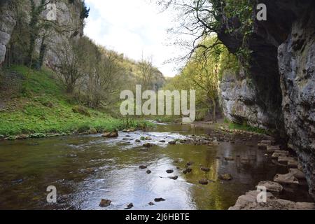 Une grande promenade dans les profondeurs de Chee dale n le quartier de pointe de Derbyshire. Banque D'Images