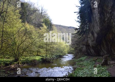 Une grande promenade dans les profondeurs de Chee dale n le quartier de pointe de Derbyshire. Banque D'Images