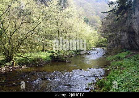 Une grande promenade dans les profondeurs de Chee dale n le quartier de pointe de Derbyshire. Banque D'Images