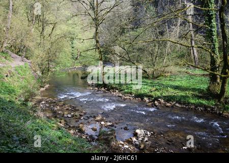 Une grande promenade dans les profondeurs de Chee dale n le quartier de pointe de Derbyshire. Banque D'Images