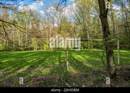 Terrain de football simple dans la forêt, terrain de football rustique, espace de loisirs dans les bois, entouré de grands arbres. Banque D'Images