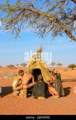 San (Saan) les Bushmen, chasseurs-cueilleurs indigènes semi-nomades, vivent dans des groupes familiaux ou des kinships dans le désert de Kalahari, en Namibie, en Afrique du Sud-Ouest Banque D'Images